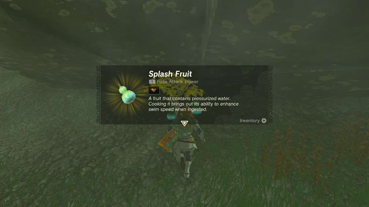 TotK Splash Fruit.jpg