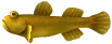 Goodta-Goby.png