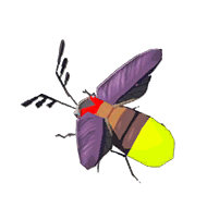 Sunset Firefly - HWAoC icon.png