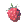 File:Wildberry.png