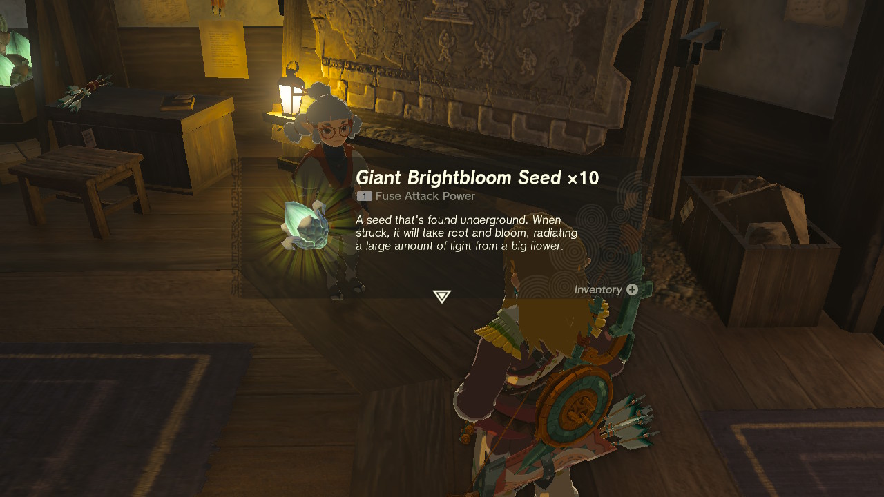 TotK Giant Brightbloom Seeds.jpg