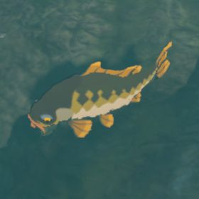 File:Hyrule-Compendium-Mighty-Carp.png