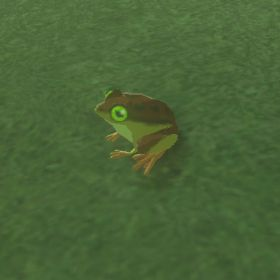 File:Hyrule-Compendium-Tireless-Frog.png
