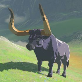 File:Hyrule-Compendium-Water-Buffalo.png