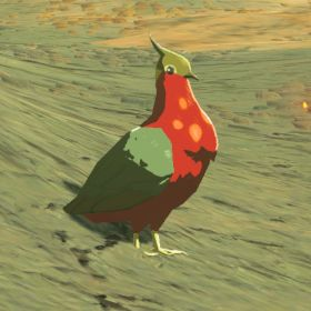 File:Hyrule-Compendium-Hotfeather-Pigeon.png
