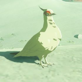 File:Hyrule-Compendium-White-Pigeon.png