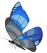 File:Winterwing-butterfly.png