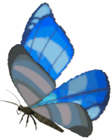 File:Winterwing Butterfly - TotK icon.png