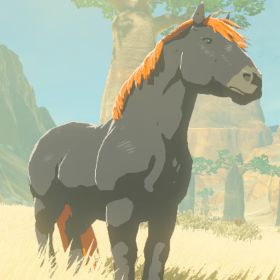 File:Hyrule-Compendium-Giant-Horse.png