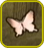 Female Butterfly.png
