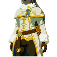 File:Zelda's Winter Clothes - HWAoC icon.png
