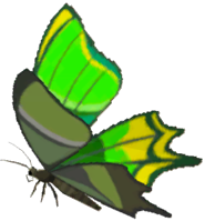 File:Thunderwing Butterfly - TotK icon.png