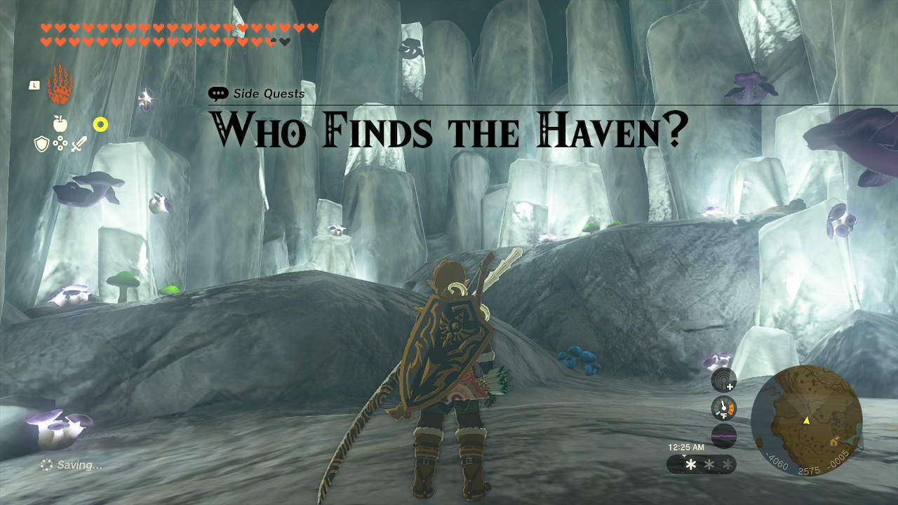 TotK Who Finds the Haven?.jpg