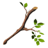 File:Tree-branch.png