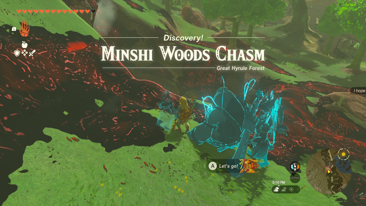 TotK Minshi Woods Chasm.jpg