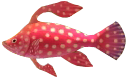 File:Fairy-Fish.png