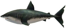File:Savage-Shark.png