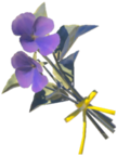 Swift Violet - TotK icon.png