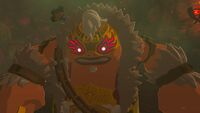 Zelda-totk-angry-masked-yunobo.jpg
