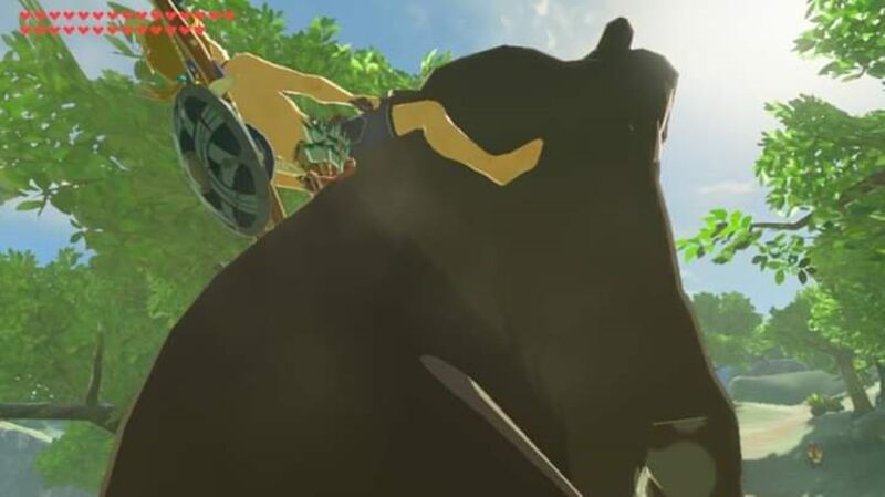 File:Link riding Bear in his underwear.jpg