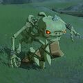 Stalkoblin from Breath of the Wild