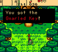 Link obtaining the Gnarled Key