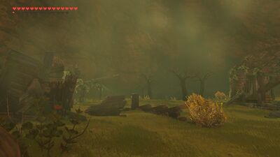 Shadow Hamlet Ruins - BOTW Wii U.jpg