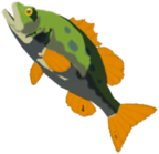 Hyrule Bass - TotK icon.png