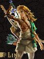 Art of Link wearing the Archaic Set