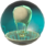 Balloon (Zonai Capsule) - TotK icon.png