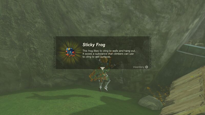 File:TotK Sticky Frog.jpg
