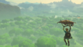 Link's Glider shown at E3