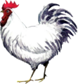 Cucco Art from Ocarina of Time