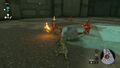 Link fights Bokoblins in Lone Island Coliseum