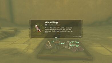 Link picking up a Gibdo Wing