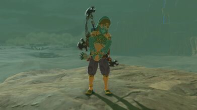 The clothes allow Link to pass as a female.