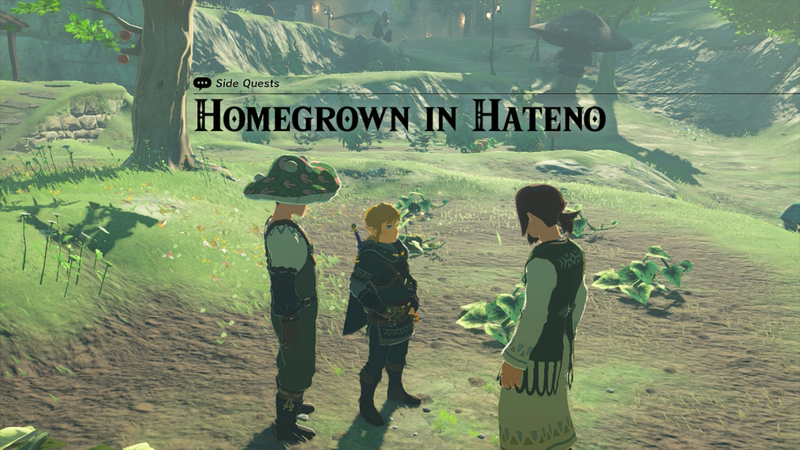 File:Homegrown In Hateno.png