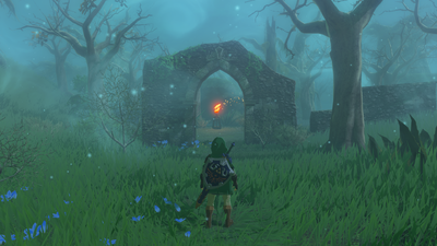 Lost Woods (Breath Of The Wild) - Zelda Dungeon Wiki, A The Legend Of Zelda  Wiki