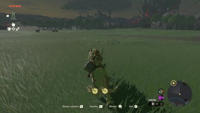 Link can grave a horse, making his trip to Lookout Landing quicker