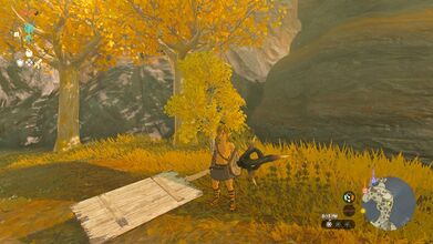 Link wielding a Board Guster in Tears of the Kingdom