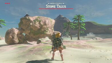 Fighting a Stone Talus