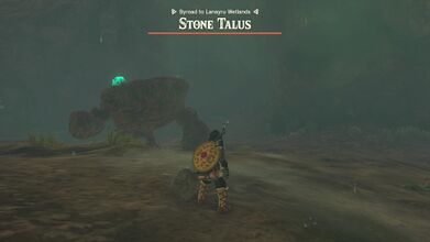 Fighting a Stone Talus (Luminous)