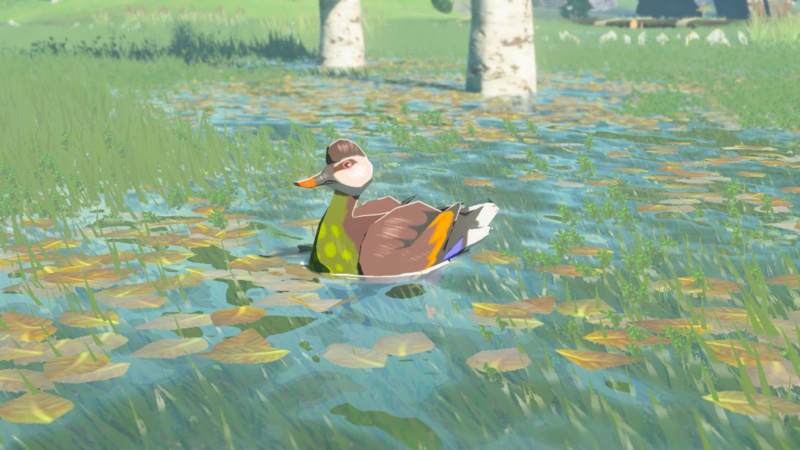 File:Bright-Chested Duck - TotK Compendium Full.png