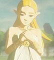 Zelda in her Ceremonial Robes from Breath of the Wild