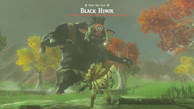Fighting a Black Hinox in Tears of the Kingdom