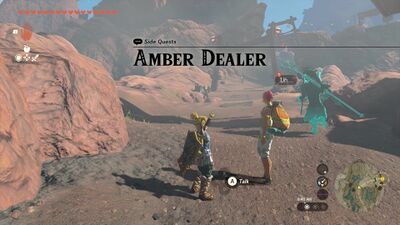 Amber-Dealer.jpg