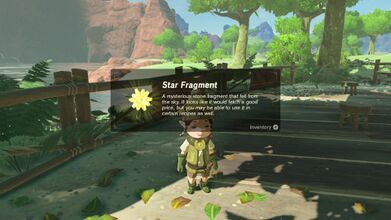 Shamae will reward Link with a Star Fragment.