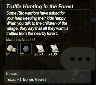 Truffle-Hunting-in-the-Forest.jpg