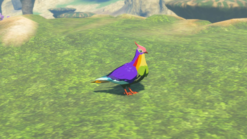 File:Rainbow Pigeon - TotK Compendium Full.png