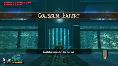 Coliseum-Expert.jpg